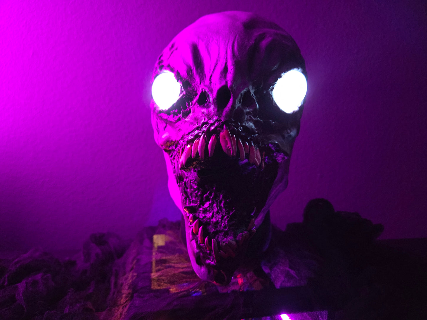 Model 101-R Desktop Kit