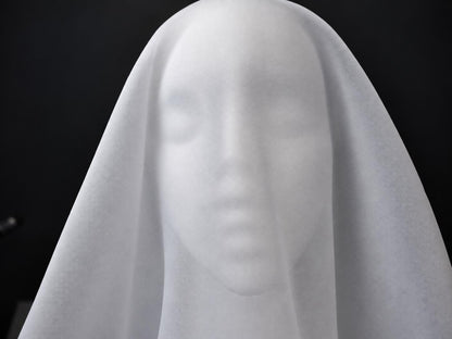 SHROUD
